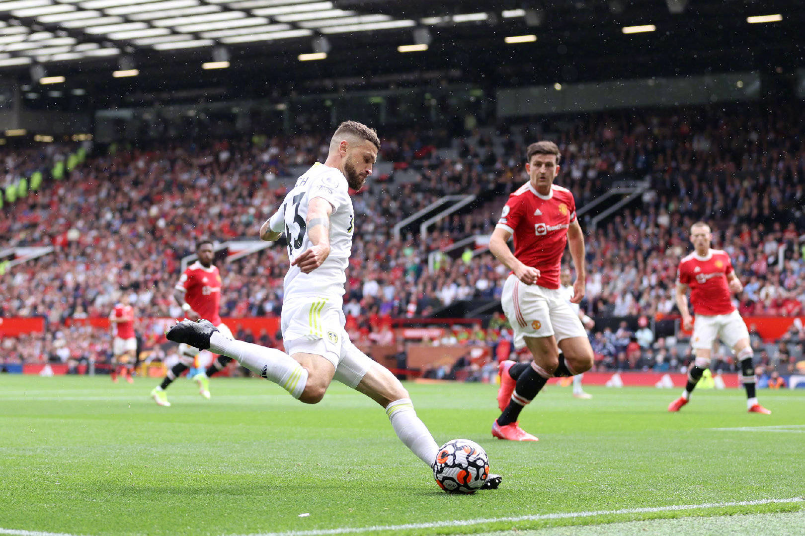 吸引了大量 吸引了大量